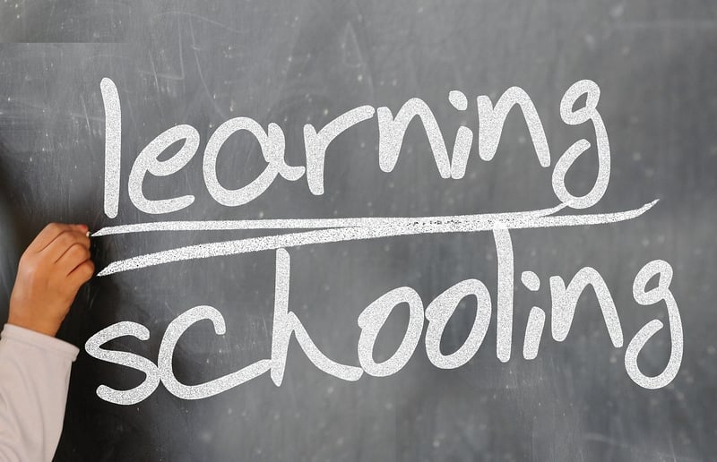 Learn New Skills